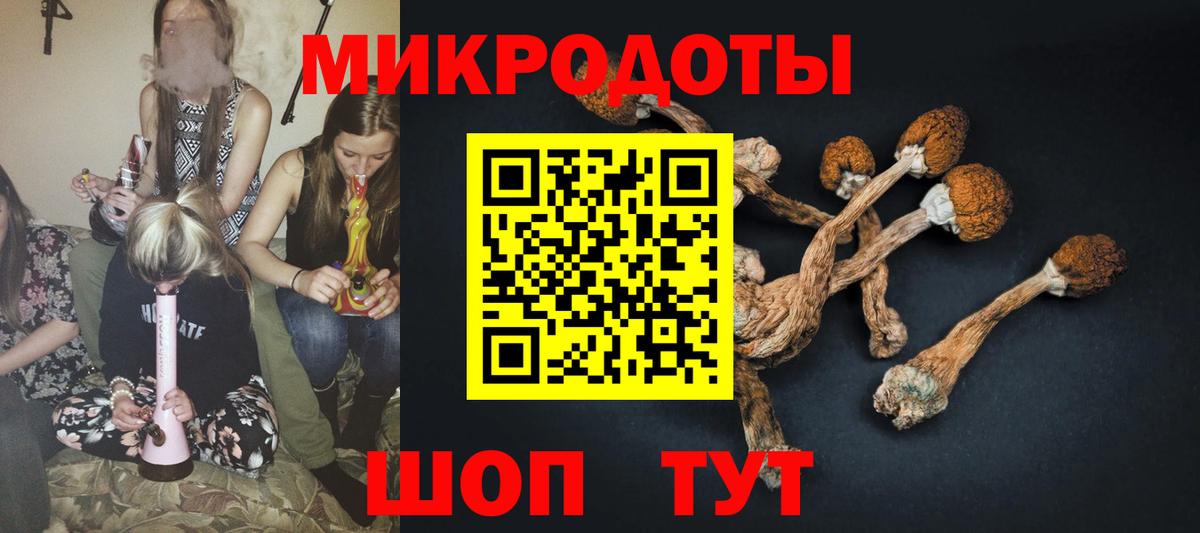 Галлюциногенные грибы Magic Shrooms Кизляр